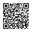 QR Seven Pants Night Medium 12 Stück buy online