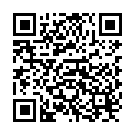 QR Seven Pants Night Large 12 Stück buy online