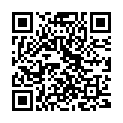 QR Rotpunkt Pflasteretui 50 Stück buy online