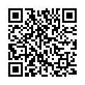 QR Sirocco 8 tea bags Old World Selection buy online