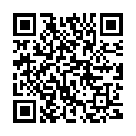 QR Sirocco 8 tea bags New World Selection buy online