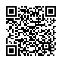 QR Himmelgrün Kirschkernkissen Flasche 21x31cm buy online