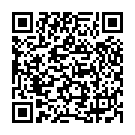 QR Bort Diabet-Verbandschuh 39-40 Schwarz 1 Paar buy online