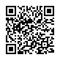 QR Master Lin body massage brush buy online