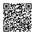 QR Cws Edelstahl Abfallbehaelter 40L buy online