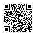 QR Aion A Heilgestein Fertigwickel 6 Stück buy online