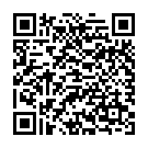 QR Solis Haartrockner Light & Strong Silber Typ 442 buy online