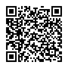 QR Solis Haartrockner Silent & Power Schwarz Typ 449 buy online