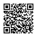 QR L'Arbre Vert Öko Allzweckrein Schmierseife 1L buy online