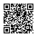 QR Shine Matcha Pulver Bio Beutel 50g buy online