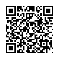 QR Shiseido Innerglow Cheekpowder No. 04 buy online