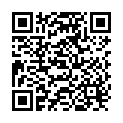 QR Shiseido Microliner Ink No. 02 buy online