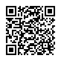 QR Shiseido Microliner Ink No. 03 buy online