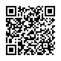 QR Shiseido Brow Inktrio No 04 buy online