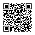 QR Shiseido Brow Inktrio No 02 buy online