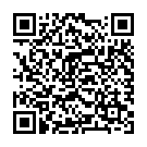 QR Dixa Marokkanisch Minze Nana Bio Py Beutel Box 20 Stück buy online