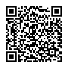 QR Dixa Schwarzt Bio Ceylon Ora Pek Py Beutel Box 20 Stück buy online