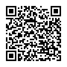 QR Dixa Grüntee Bio Gunpowder Py Beutel M Box 20 Stück buy online