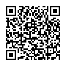 QR Bort Activecolor Sport Wadenstütze L Schwarz buy online