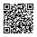 QR Sunrise back strap for Gemino 30 rollator buy online