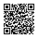 QR Hofmann set professional brushes 3 pieces buy online