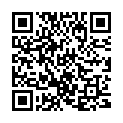 QR Lunette Menstruationstasse Grösse 2 Lila buy online
