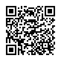 QR König Stabmixer Steel Line buy online