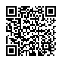 QR 0815 electric wheelchair 500w 6km/h 15km silver buy online