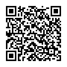 QR Dietz Rollator Taima M C1 mit Rückenlehne Grün M buy online