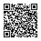 QR Shiseido Synchro S Self Refr Gel Conc No 304 buy online