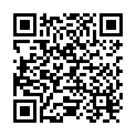 QR Starwax Fensterreiniger Spray 500ml buy online