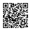 QR Elverev' Kiddy Tuetchen 14 Stück buy online