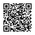 QR Vasano Rollator Enzo Foldable Silver + Bag buy online