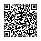 QR Kenrico Kräuterpflaster Trmx-4 Turma Detox 10 Stück buy online