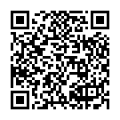 QR Sipuro Backofen & Grill Spray Flasche 500ml buy online
