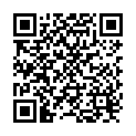 QR Voigt face visor 23x27cm buy online