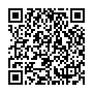 QR Glutoclean Baustellen-Endreiniger Br3 Flasche 1L buy online