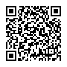 QR Glutoclean Hochdruckreiniger Zusatz Flasche 1L buy online