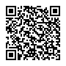 QR Epitrain Aktivbandage mit Gurt Grösse 2 Titan buy online
