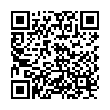 QR Hagerty Anti Static Duster 55x36cm buy online
