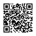 QR Hagerty Copper Bronze Brass Duster 55x36cm buy online