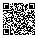 QR Hagerty Copper Bronze Brass Polish Flasche 2L buy online