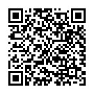 QR Wero Swiss Protect Maske Typ Iir Small 50 Stück buy online