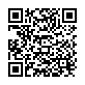QR Silverline Mini Cu 380 Ag buy online