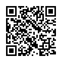 QR Herboristeria decorative figure angel Mia lantern buy online