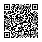QR Herdegen raised toilet seat 11cm with lid buy online