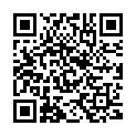 QR Alpenpionier Hanfeistee Bio 50cl buy online