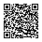 QR Malleotrain Aktivbandage Grösse 4 Rechts Titan (n) buy online