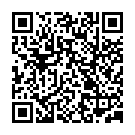 QR Vicopura Haarbase 2 Kopfhaut Serum Pip Flasche 30ml buy online