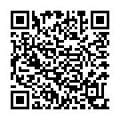 QR Gibaud Equalizer Air Langer Walker Grösse 1/36-39 buy online